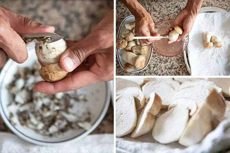 Cleaning mushrooms Courtesy of Nicole Bozzao 