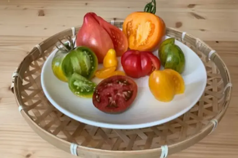 Tomatoes Courtesy of Chef Mengxin Zhou