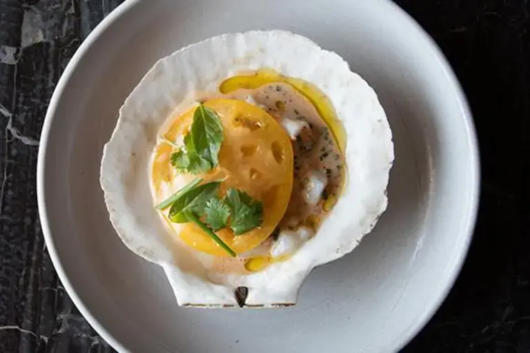 Scallop kinilaw with XoXo