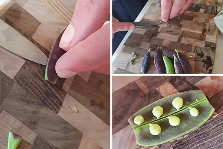 peas Courtesy of Chef Marcus Gericke