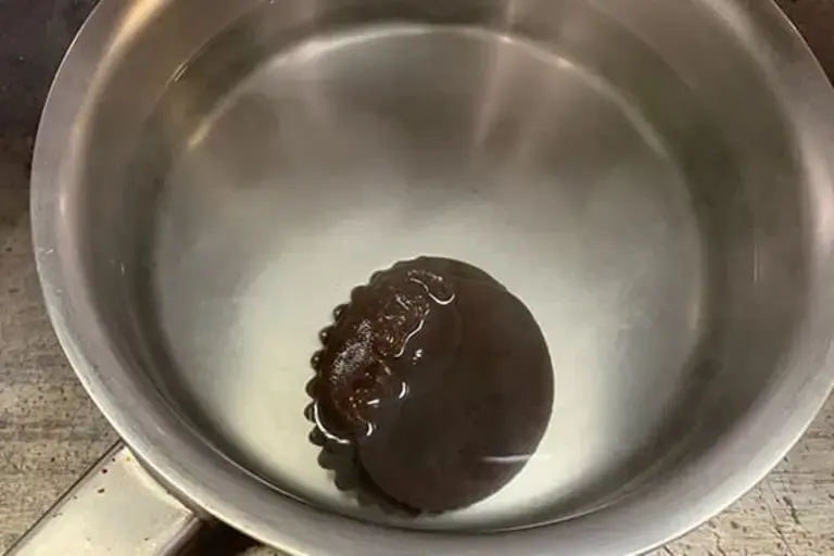 Courtesy of Chef Ho Lam Shek