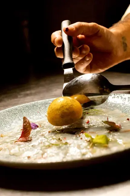 Cutting-Edge Cuisine