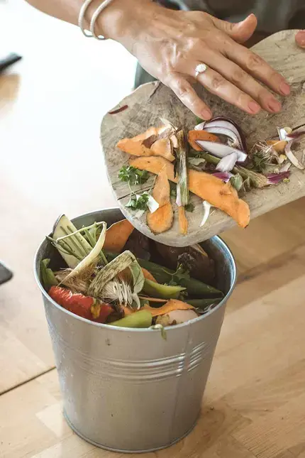 Food Waste