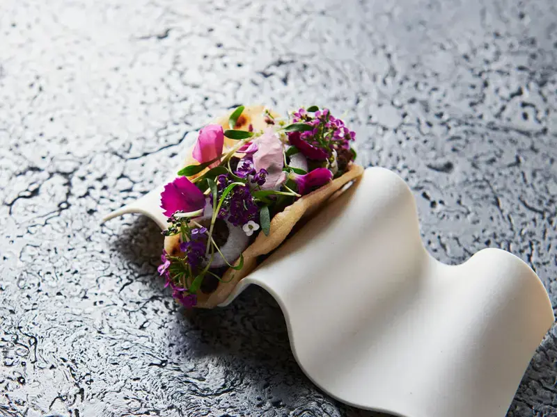 Rapeseed taco at Spora.