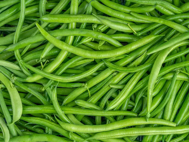 Numerous green beans.