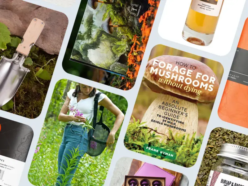 Forager’s gift guide.