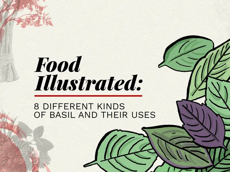 10 kinds of basil