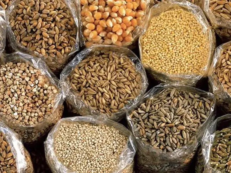 14 Cereals and How to Cook Them