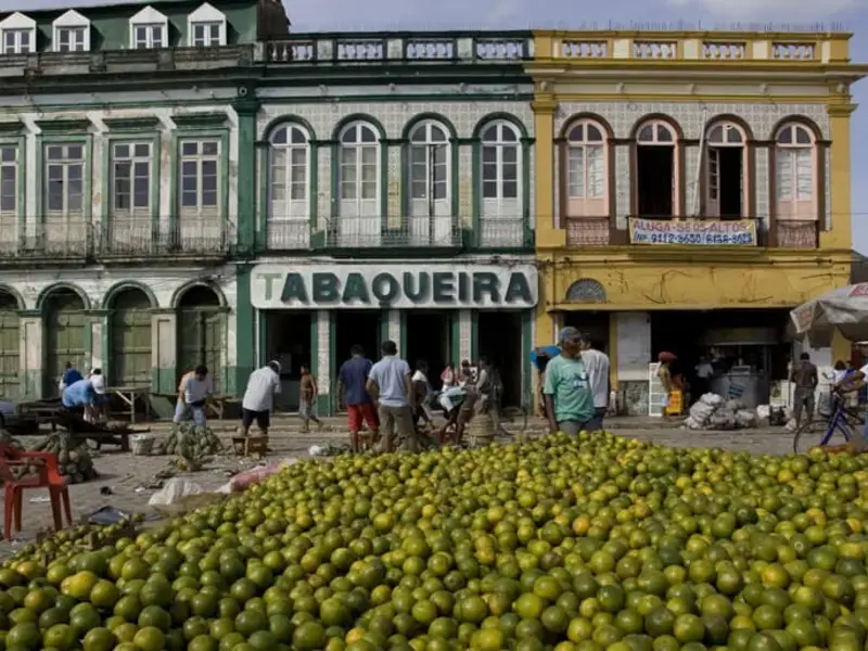 Original_12940_Brazilian-fruits-TP