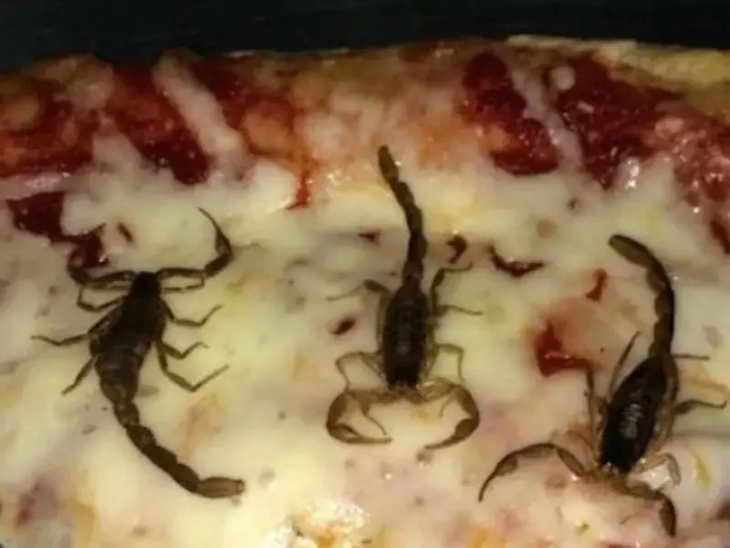 Hungry? How About Some Scorpion Pizza?
