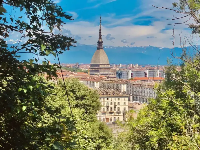 a view of Turin through shrubery