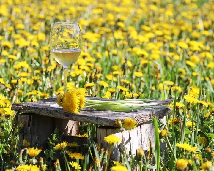 Dandelion wine.