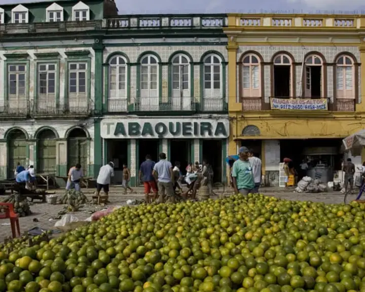Original_12940_Brazilian-fruits-TP