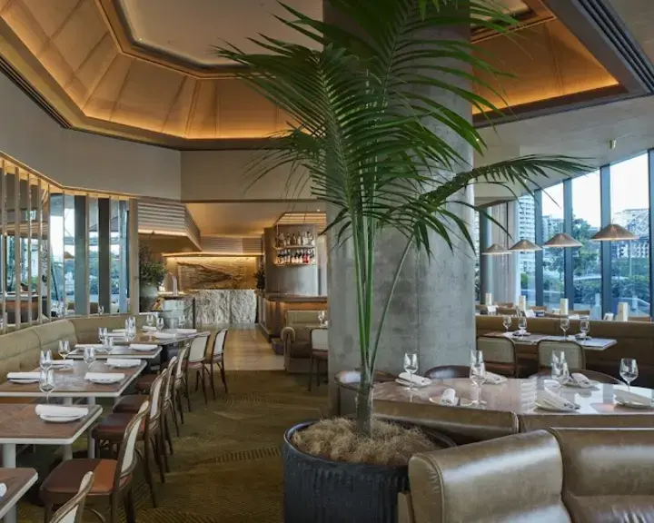 Supernormal Brisbane