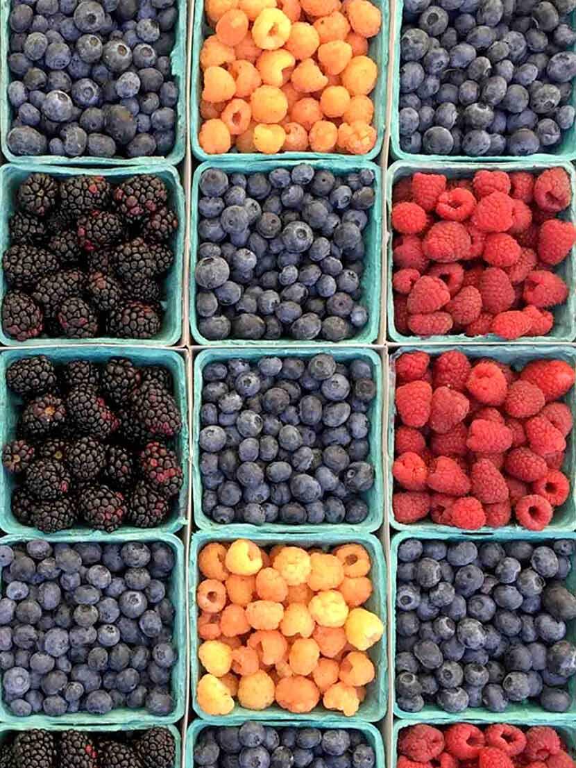 Food Infographics